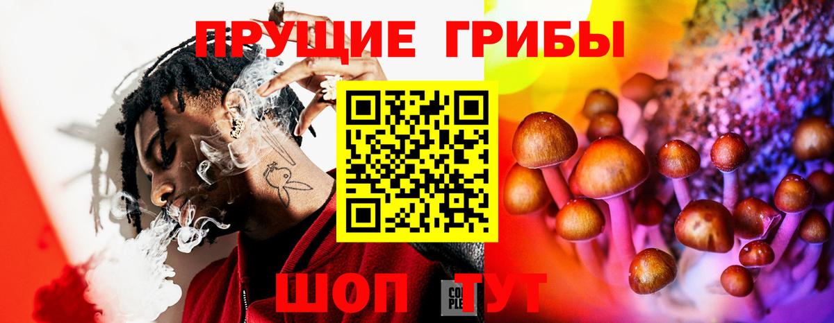 Псилоцибиновые грибы мухоморы Избербаш