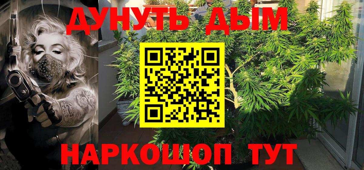 Бошки марихуана семена Избербаш